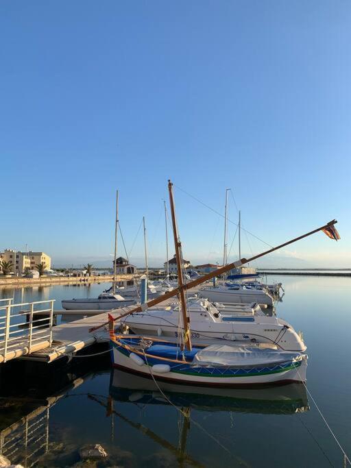 T2 Neuf + Bateau / Piscine Super Infrastructures Διαμέρισμα Le Barcarès Εξωτερικό φωτογραφία