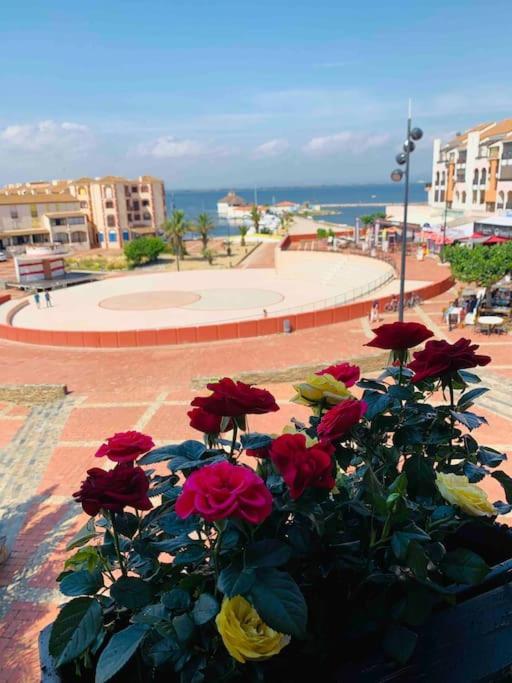 T2 Neuf + Bateau / Piscine Super Infrastructures Διαμέρισμα Le Barcarès Εξωτερικό φωτογραφία